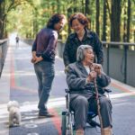 Elderly woman being pushed in wheelchair in a park